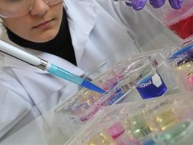 Bilim adamları bunu da yaptı!