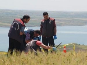 Tarlada ceset bulundu
