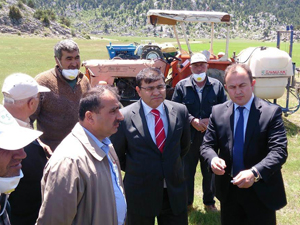 Beyşehirde çekirge tehdidi