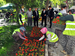 Akşehir çiçeklerle güzelleşiyor