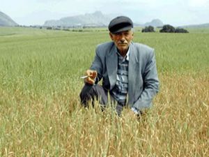 Sarayönünde ödüllü çiftçi eğitim projesi