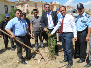 2 Bin sedir fidanı toprakla buluşturuldu