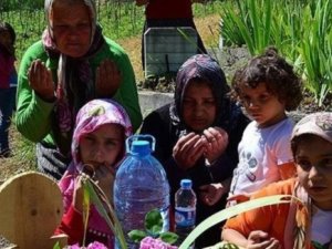 Travmaya yaz okulu çözümü