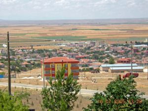 Altınekin kış ortasında baharı yaşıyor