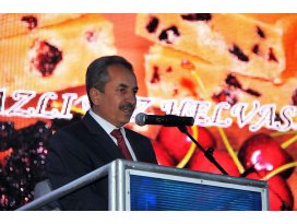 Akşehirde kiraz ve kültür sanat festivali