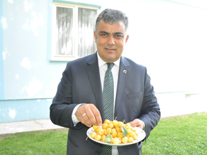 Beyaz kirazda rekolte kaybı yüzde 80