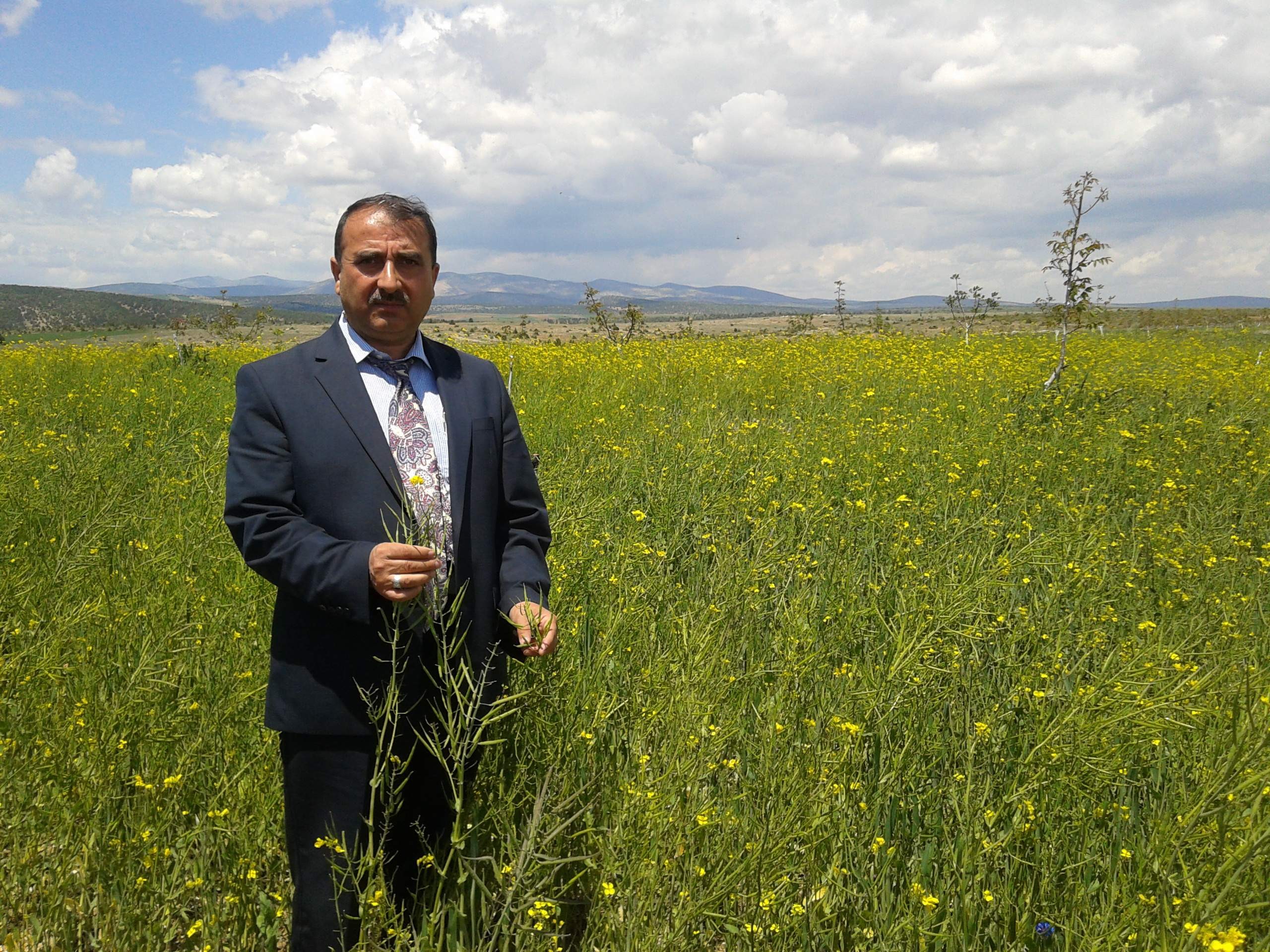 Beyşehirde yem bitkileri üretimi artırıyor