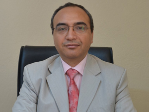 Selçuk’ta sisam kuruldu