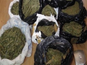 Narkotik şubeden 50 kilo kokain çaldılar