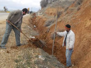 Hüyükte ağaçlandırma seferberliği