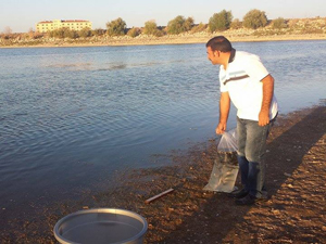 Cihanbeyli Göleti’ne 16 bin balık bırakıldı