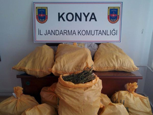 Jandarma’dan esrar operasyonu