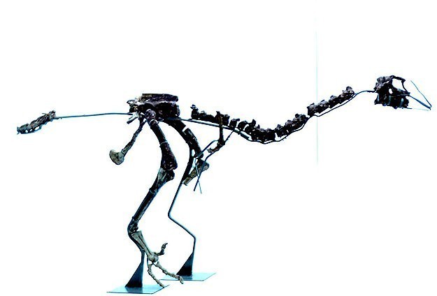 Yeni bir dinozor türünün fosili bulundu