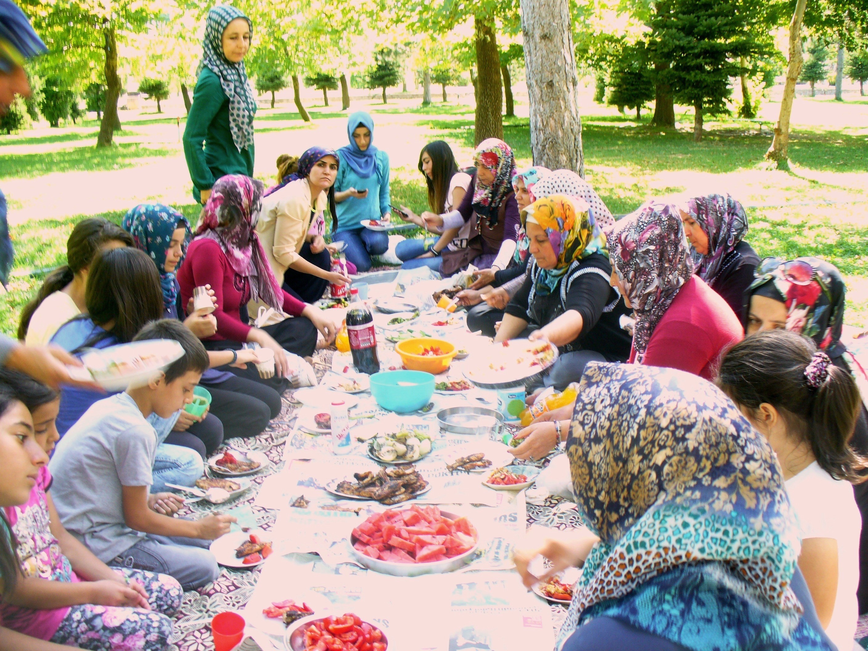 AK Partili kadınlar, piknikte buluştu