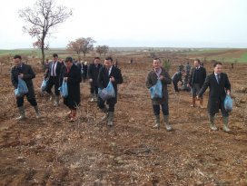 Tohumlar yeşil bir örtü için toprağa serpildi