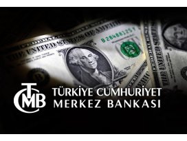 Enerjide döviz ihtiyacı Merkez ve Hazineden