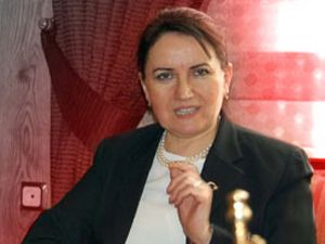 Sezeri cumhurbaşkanı seçtirmek için bakın ne yapmışlar?