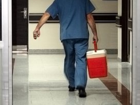 28 bin hasta organ bekliyor