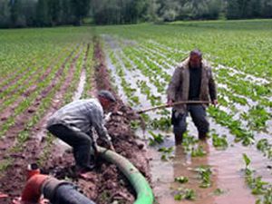 Devlet Konyada da toprak dağıtacak