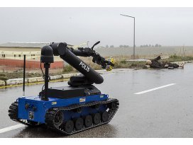 Şehirlerin kaplan koruyucuları