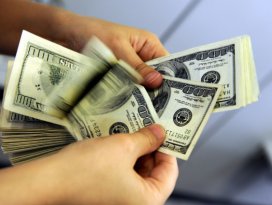 Dolar 2,50yi aştı