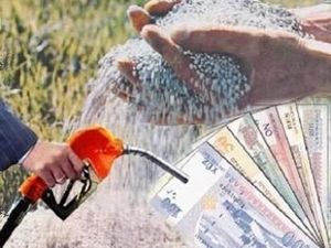 Dekar başına bu kadar para ödenecek!