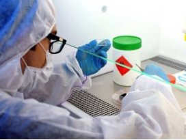 Ebola dakikalar içerisinde test edilebilecek