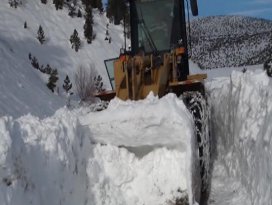 Hayatta kalmak için kurbağa yediler!