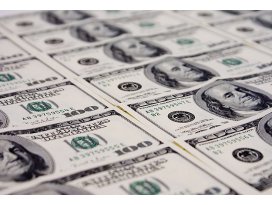 Şubatta en çok dolar kazandırdı