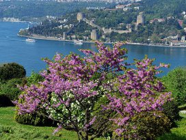Hava sıcaklıkları artacak