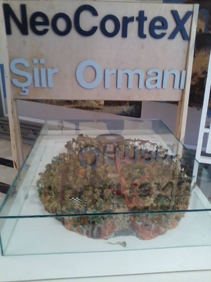 Şiir Ormanı tanıtıldı