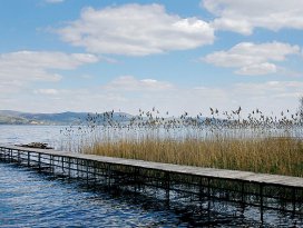 Sapanca Gölü eski günlerine döndü