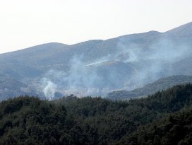 Esed güçleri Türkmen köyüne saldırdı