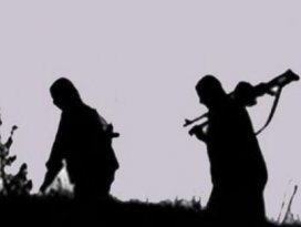 PKK’lı teröristler 2 köprüyü havaya uçurdu