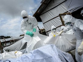 Ebola aşısında yüzde 100 başarı
