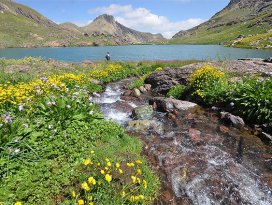 Doğu ve Güneydoğuda turizme terör iptalleri