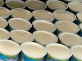 Teröristler 6 bin 400 kase yoğurdu gasbetti