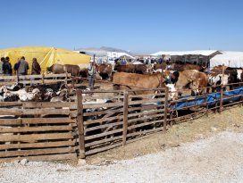 Selçuklu’da kurban satış ve kesim yerleri belli oldu