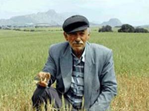 Çiftçiye müjdeli haber!