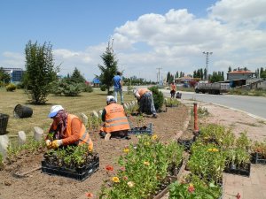 Beyşehir’de 100 bin çiçek toprakla buluştu