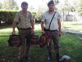 Konya’da canlı keklik satışına suçüstü yapıldı