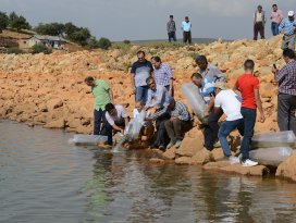 Büyükşehir’den balıkçılığa destek