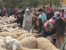 Erkekler kurbanı keserken, kadınlar parçalarken yaralanıyor