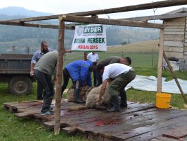 AYDER Bosna Hersek’te yüzleri güldürdü