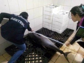 Limit altı balık satışına ceza