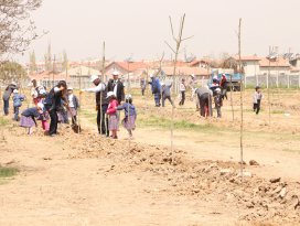 Karatay, yapılan ağaçlandırma çalışmalarıyla daha yeşil