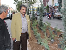 Cihanbeylide yeşil alan çalışmaları
