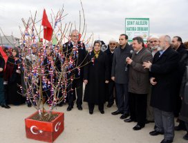 Meram’da şehit aileleri hatıra ormanı oluşturuldu