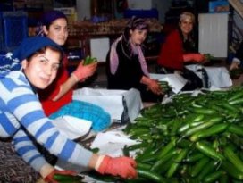 Fiyatı 2 lira 20 kuruştan 10 kuruşa düştü.