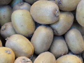 1 adet kivi 1 kilogram portakala denk
